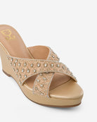 Fortune Teller : Criss Cross Wedges
