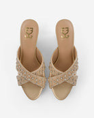 Fortune Teller : Criss Cross Wedges