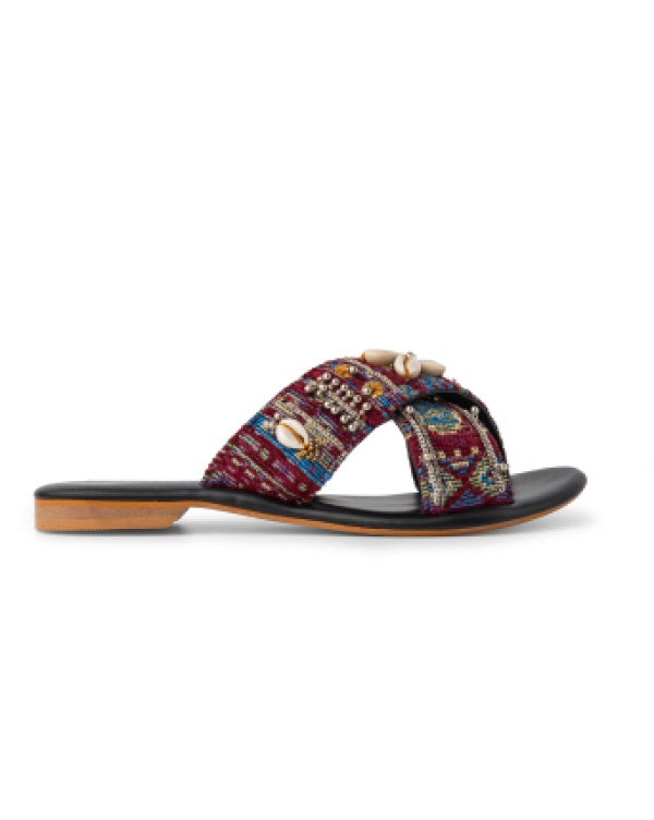 Shell Seekers : Criss Cross Slides