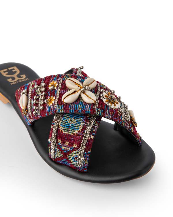 Shell Seekers : Criss Cross Slides