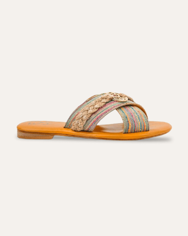 Toast of the day : Criss Cross Slides - Limited Edition