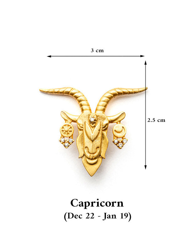 Capricorn (Dec 22 - Jan 19)